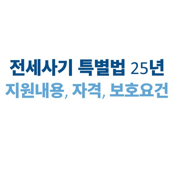 전세사기 특별법 2025년 최신 기준｜지원내용·신청자격·보호요건 총정리