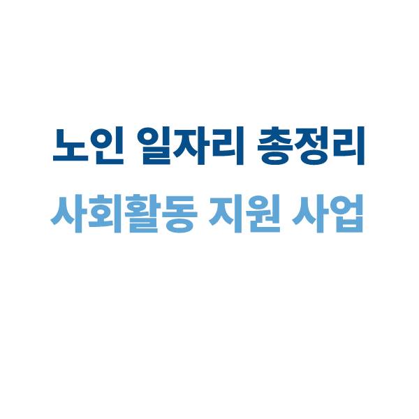 노인 일자리 및 사회활동 지원 사업 안내 (2025)