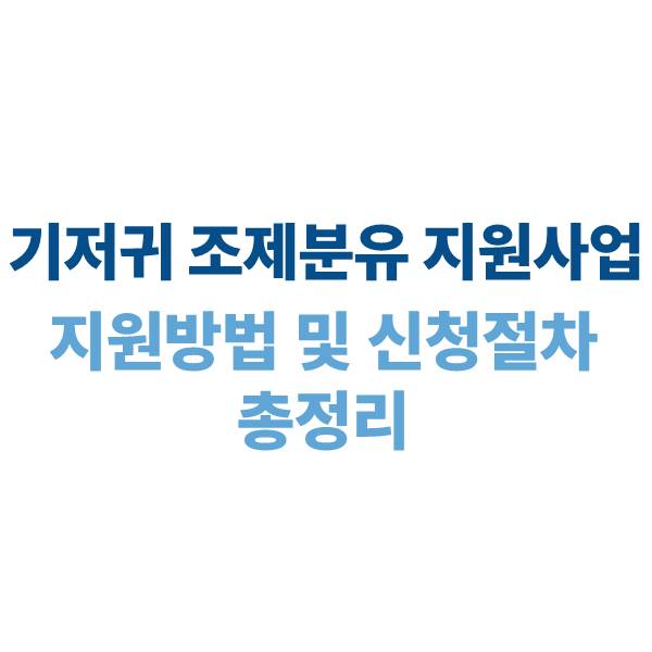 기저귀조제분유 지원사업 안내: 지원 방법 및 신청 절차